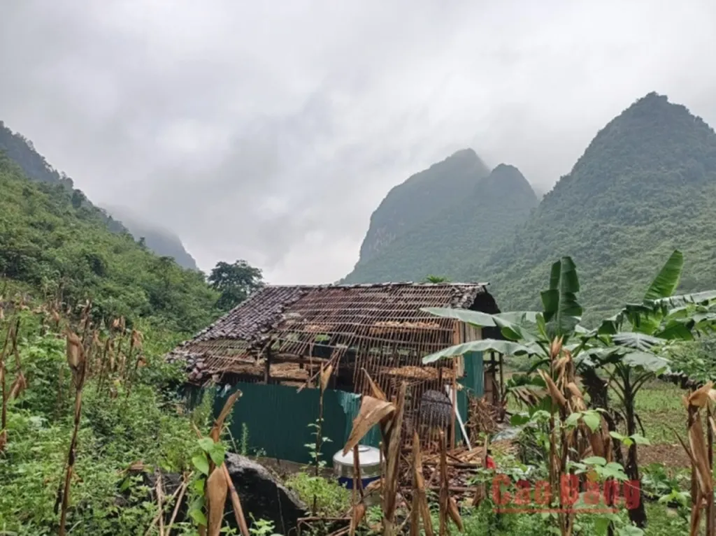 lo da o cao bang hai chi em gap nan trong dem