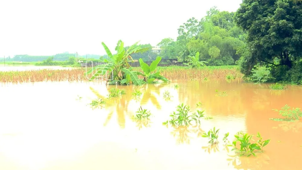 mua lon nhieu ngay o thai nguyen 1 nguoi tu vong