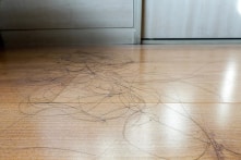 Mẹo hay giúp bạn dọn dẹp tóc rụng ở khắp nơi trong nhà