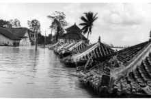 Nhớ năm Thìn