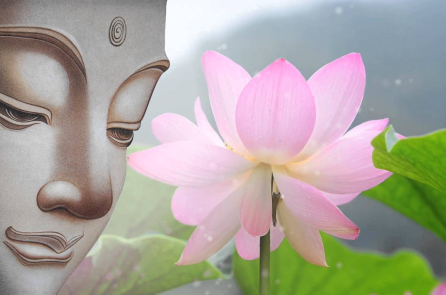 Lòng tốt là một vòng tuần hoàn, gieo mầm những hạt giống tốt đẹp cho thế hệ mai sau