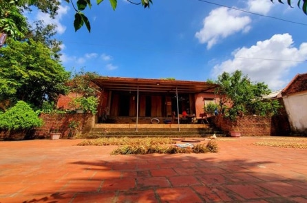 Sân nhà tôi
