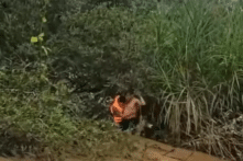 [VIDEO] Bị mắc kẹt giữa sông suốt 9 ngày, nam thanh niên may mắn được cứu sống