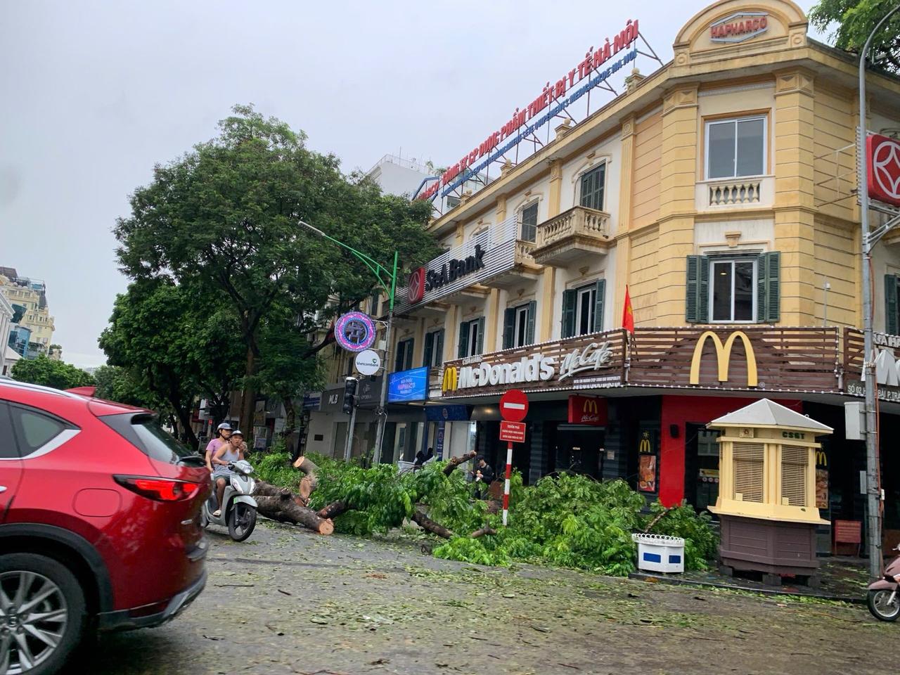 bao yagi ha noi 2