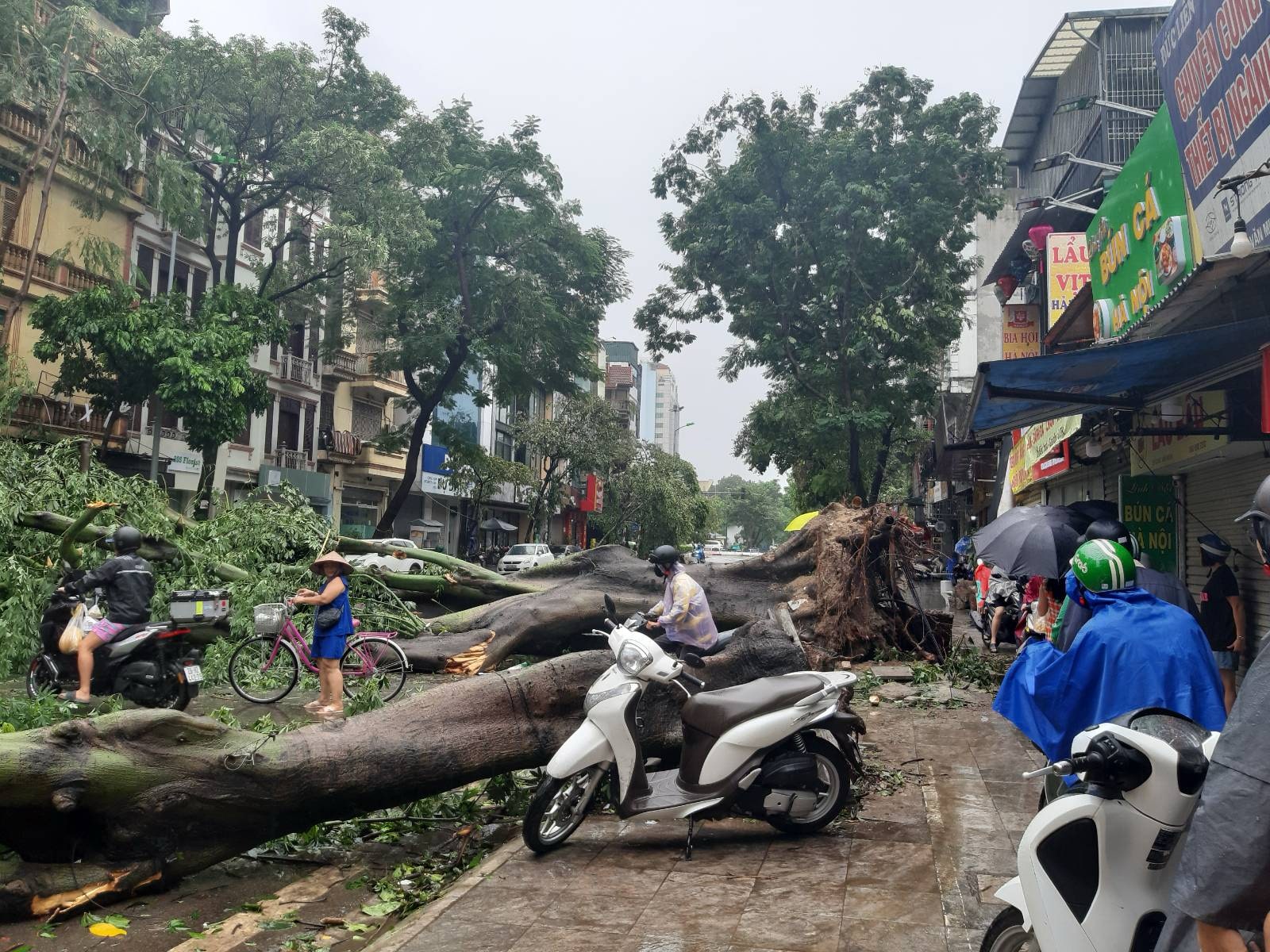 bao yagi ha noi 3