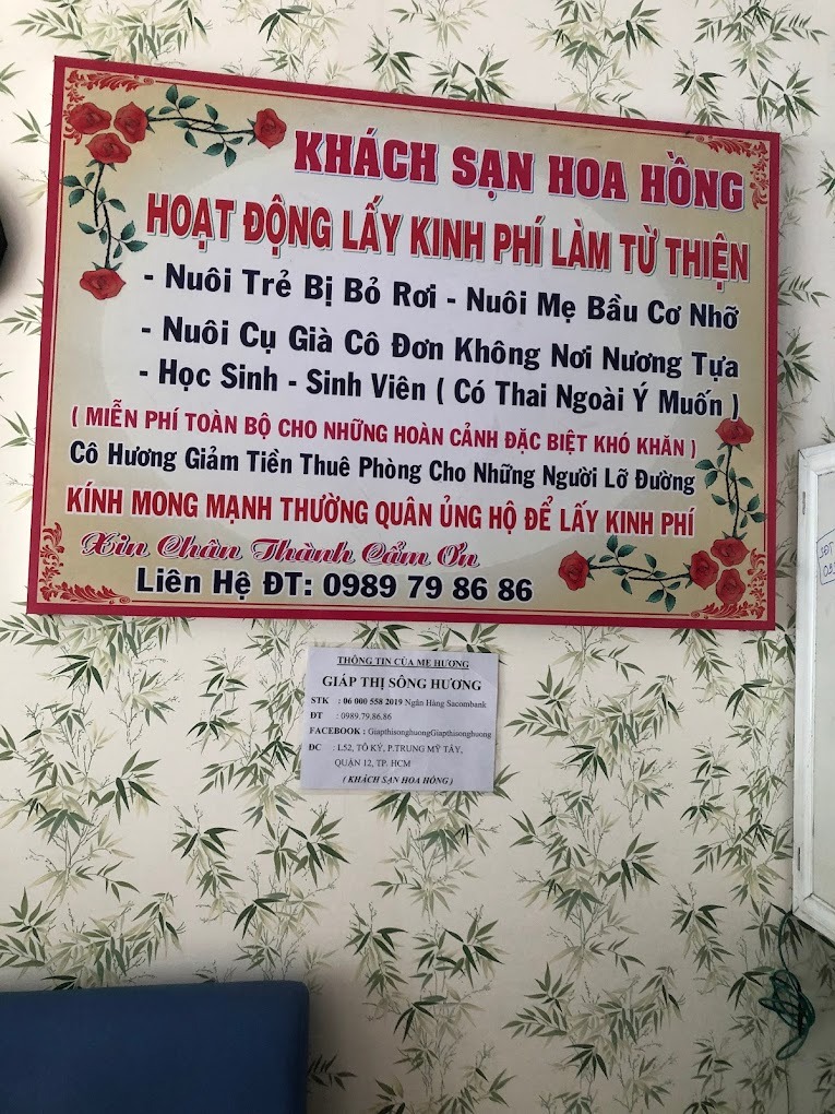 mai am hoa hong