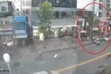 Vụ nhánh cây rơi trúng người đi đường: Nạn nhân đang trên đường đi đón con