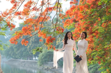 Xuân thời đã xa