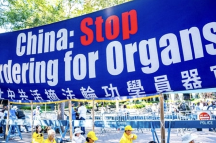 Hạ viện Mỹ thông qua ‘Dự luật Chấm dứt Nạn Cưỡng Bức Mổ Cướp Nội Tạng’ năm 2025