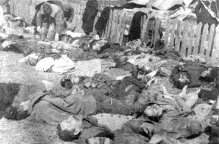 Quá khứ “đẫm máu” giữa Ba Lan và Ukraine ảnh hưởng quan hệ hai nước — Politico