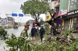 Bão Trà Mi đi vào đất liền, Quảng Bình đến Đà Nẵng mưa to