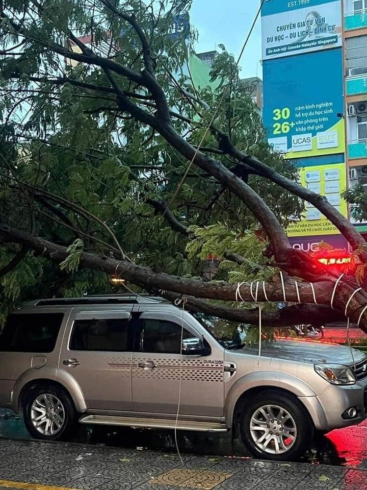 bao tra mi di vao dat lien quang binh den da nang mua to2