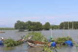 canada ho tro binh dinh trong rung thanh lap khu bao ton bien phuc hoi san ho