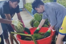 Đắk Lắk: Phát hiện gần 4 tấn sầu riêng bị nhúng thuốc “lạ”