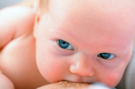 Giám đốc lâu năm từ chức vì chính sách nam chuyển thành nữ cho bé bú ngực