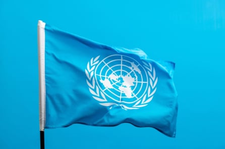 ĐSCTQ ngày càng cử nhiều “tổ chức phi chính phủ” giả mạo tới Liên Hợp Quốc