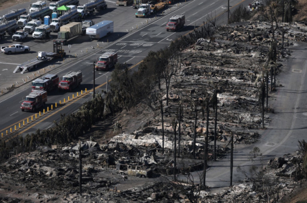 Số người chết tiếp tục tăng trong các vụ cháy rừng ở Los Angeles, California