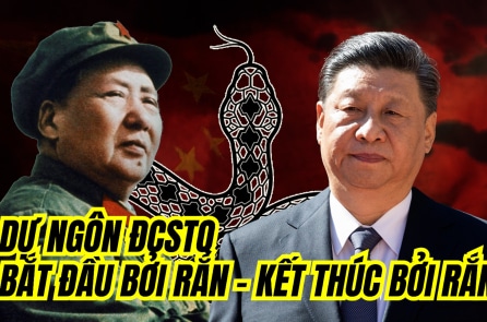 [VIDEO] Dự ngôn: Đảng Cộng sản Trung Quốc “Bắt đầu bởi rắn – Kết thúc bởi rắn”