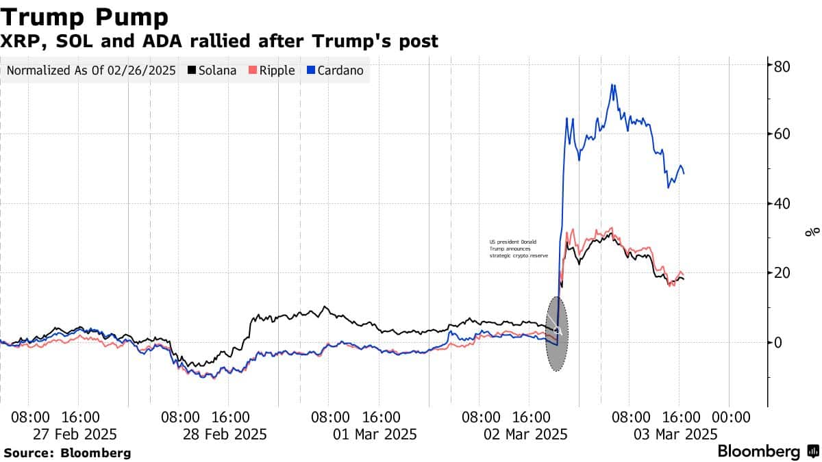 Trump pump