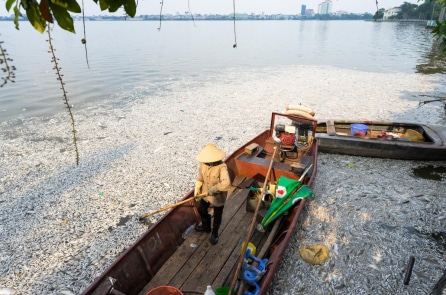 Hà Nội tính chi hơn 99 tỷ đồng để thu gom nước thải quanh hồ Tây