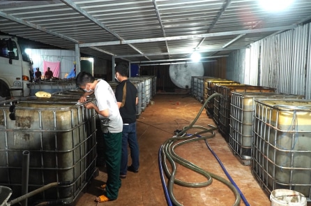 Tái chế hàng nghìn lít nhớt thải, cơ sở ở Bà Rịa – Vũng Tàu bị phạt hơn 800 triệu đồng