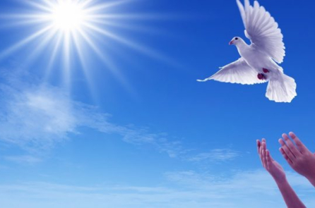 Học cách buông bỏ, rồi hạnh phúc sẽ đến