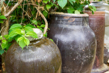 Nguyên do người xưa thường đặt lu nước ở sân nhà