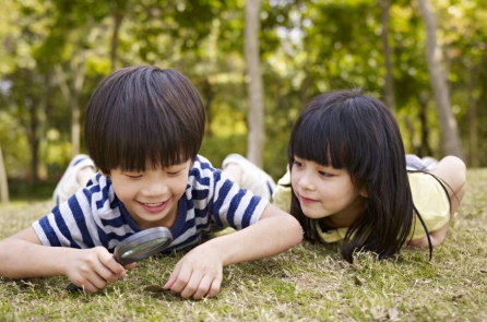 Sự hiếu kỳ: Cách bạn suy nghĩ tạo nên sự khác biệt