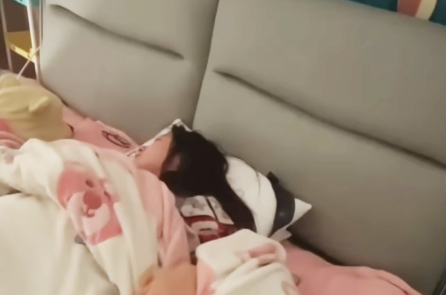 Giới trẻ Trung Quốc và phong cách sống kiểu “người chuột” phản ánh điều gì?