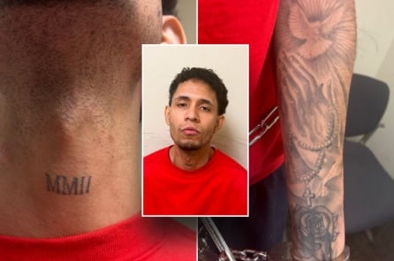 Mỹ truy tố hơn 70 thành viên Tren de Aragua trong chiến dịch trấn áp trên toàn quốc