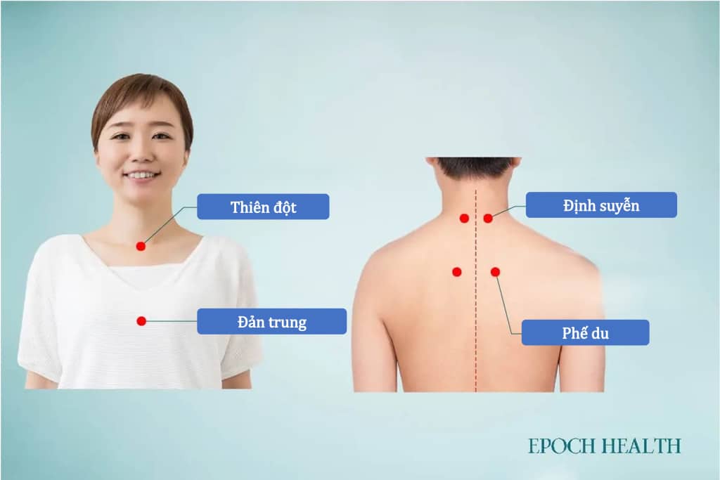Huyet 2