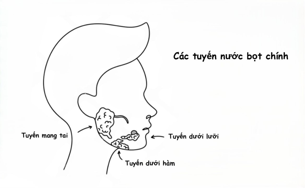 Tuyen nuoc bot
