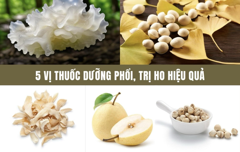 anhtieude 1