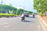 Bạc Liêu: 29 dự án cây xanh liên quan Công ty Công Minh bị điều tra