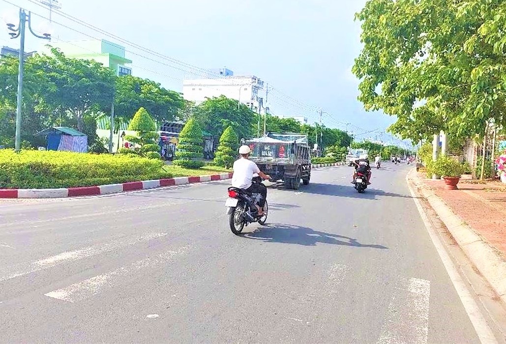 bac lieu 29 du an cay xanh lien quan cong ty cong minh bi dieu tra