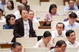 Đại biểu đề xuất tử hình cho tội sản xuất sữa giả, tham ô, nhận hối lộ