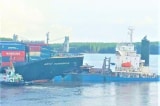 Dầu loang 17 ha rừng Cần Giờ sau vụ tàu hàng va chạm