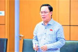 ĐBQH đề xuất đánh thuế đất bỏ hoang để tiết kiệm tài nguyên