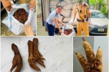 Hà Nội thu giữ 1,4 tấn chân gà không rõ nguồn gốc