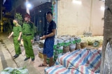 Ngọn su su, cải thảo… có trong lô hơn 200kg rau, củ, quả dương tính với chất độc hại
