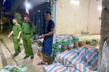 Ngọn su su, cải thảo… có trong lô hơn 200kg rau, củ, quả dương tính với chất độc hại
