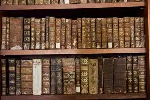 id5693128 93 45345 library bats portugal 59568 4568