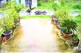 [VIDEO] Trà Vinh: Vướng dây điện trên đường, 2 nam thanh niên đi xe máy bị điện giật tử vong