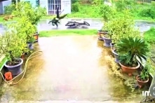 [VIDEO] Trà Vinh: Vướng dây điện trên đường, 2 nam thanh niên đi xe máy bị điện giật tử vong