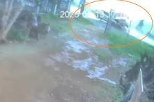 Xe cứu thương tông mạnh xe con, người nhà bệnh nhân bị thương nặng [VIDEO]