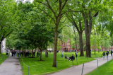 Bộ Ngoại giao Mỹ thông báo các LSQ nối lại việc xử lý thị thực sinh viên Harvard