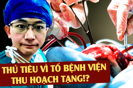 [VIDEO] Bác sĩ thực tập TQ bị thủ tiêu vì vạch trần tội ác thu hoạch nội tạng!?