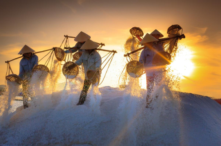 Muối – Hương vị của biển