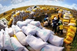 Philippines hướng đến Ấn Độ, Thái Lan để cắt giảm sự phụ thuộc vào gạo của Việt Nam