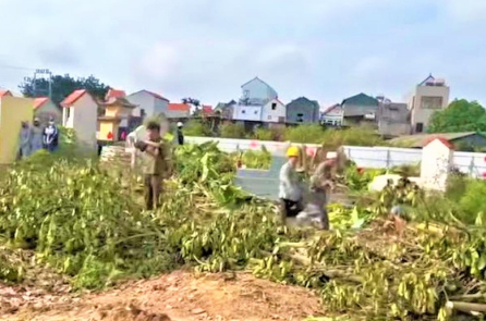 [VIDEO] Hưng Yên: Hàng chục ngôi mộ bị hư hại vì cưỡng chế đất làm cụm công nghiệp